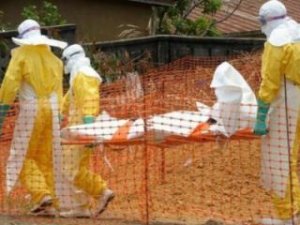 ВОЗ опускает руки: Вирус Эбола угроза всему живому в мире