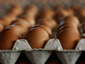 Роспотребнадзор: россиянам стоит воздержаться от дегустации яиц в Европе