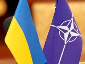 Учения НАТО пройдут в Украине