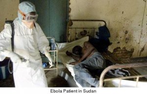 На борьбу с вирусом Эбола США отправят 3 тысячи военных