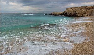 Пляж «Приморье» в Туапсе: отца и сына до смерти забили камнями. Подробности, расследование