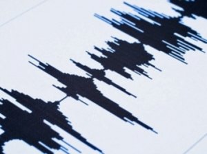 Испания содрогнулась от мощного землетрясения магнитудой 6,6