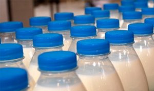 В крымских детсадах обнаружен фальсификат молочной продукции