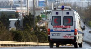 В Турции разбился автобус с детским ансамблем из Грузии
