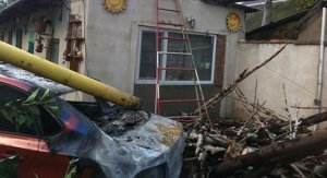 В Крыму из-за упавшего дерева порвало провода, повредило газопровод – загорелся автомобиль
