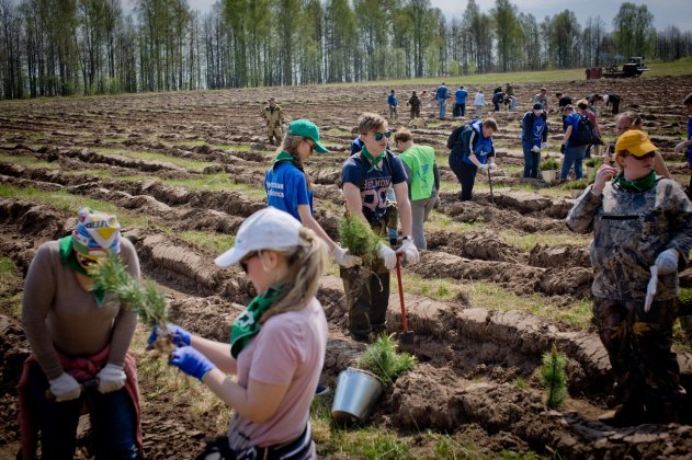 В Крыму высадят 222 га новых лесов