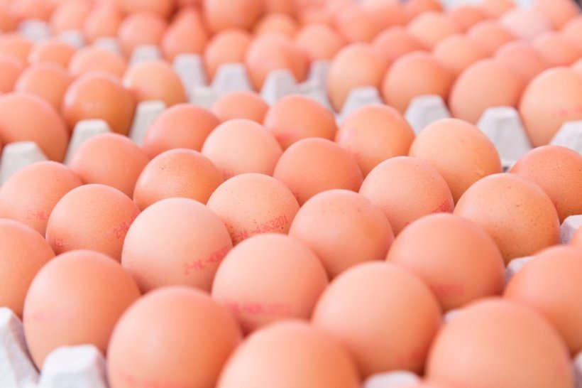 В России ожидается дефицит яиц
