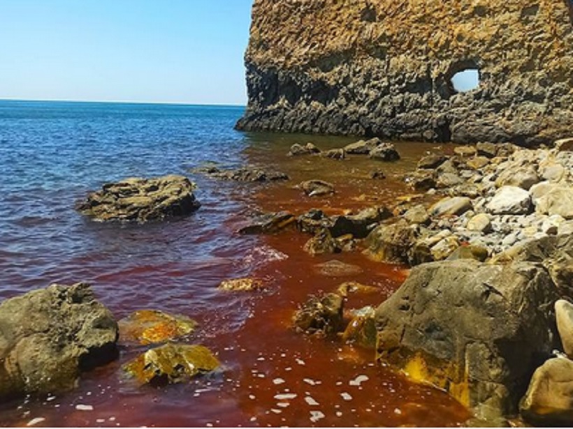 Черное море у берегов Геленджика окрасилось в красный