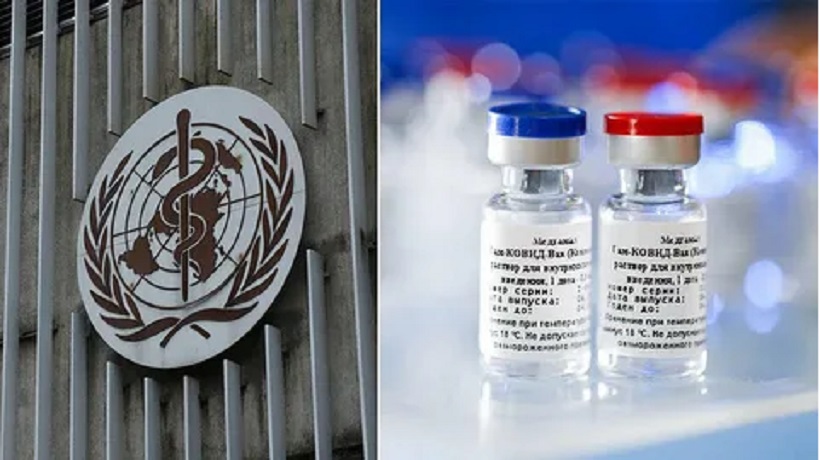 ВОЗ прокомментировала прекращение исследования российской вакцины «Спутник  ...