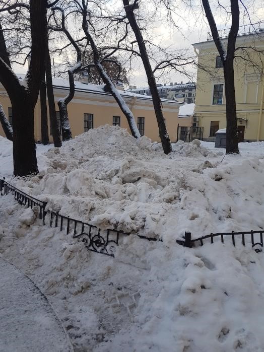 Петербуржцев возмутило несвоевременное поздравление чиновника Повелия на фоне снежного коллапса