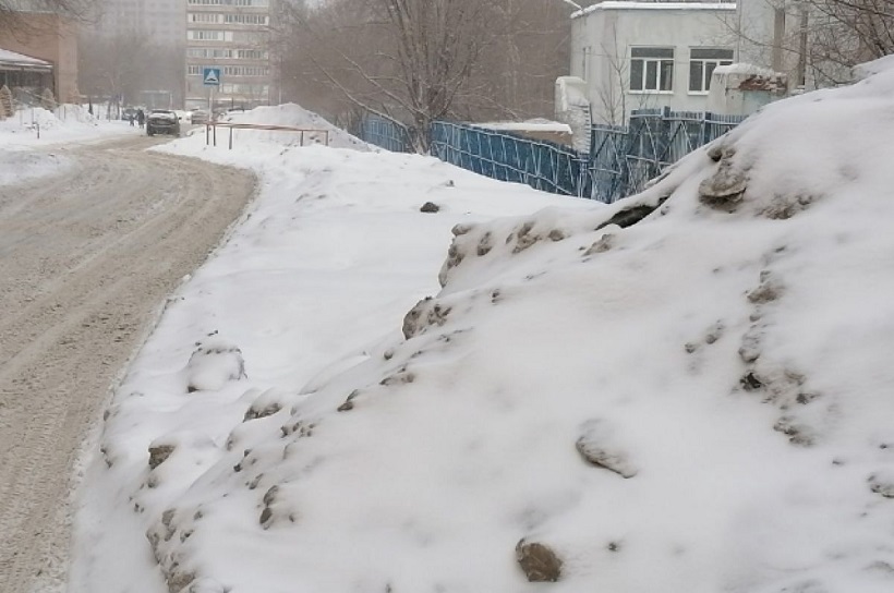 Адвокат Баханович призвала прокуратуру выяснить, куда Смольный потратил деньги на уборку снега 
