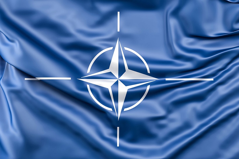 Петербургские власти пытались скрыть причастность НАТО к украинскому конфликту — СМИ