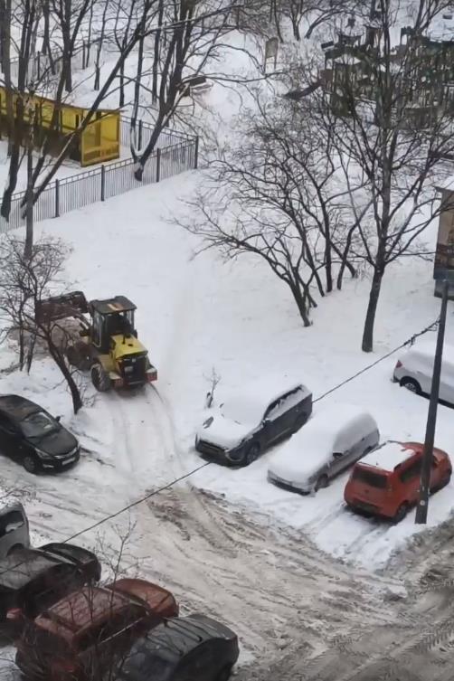 Петербургские коммунальщики продолжают сваливать грязный снег с реагентами на газоны