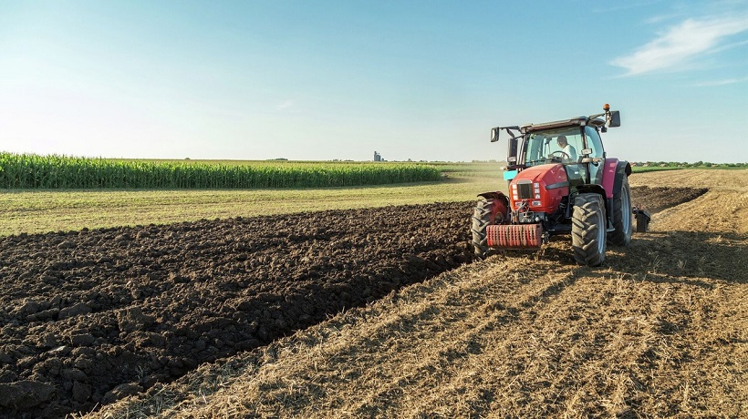 Правительство РФ утвердило порядок ведения реестра земель сельхозназначения
