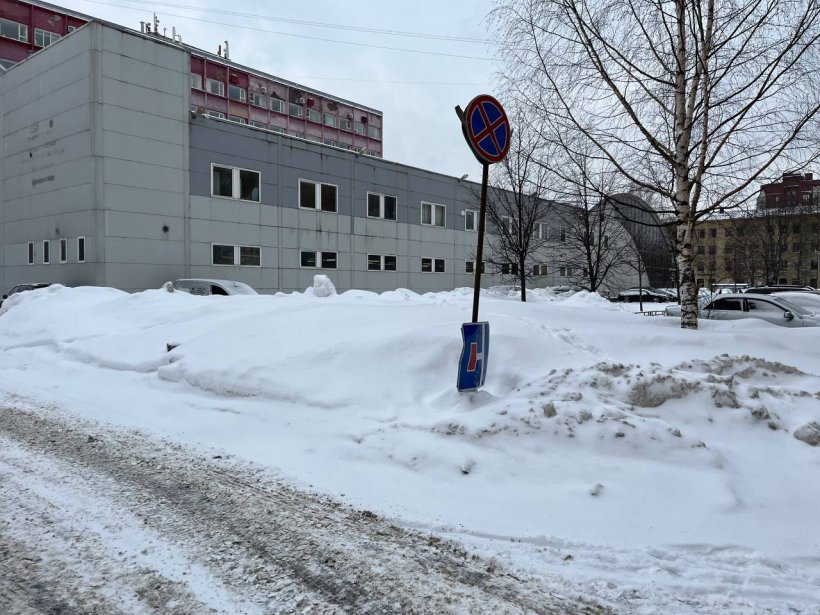 Жители Петербурга продолжают наблюдать сваленные на городские газоны сугробы