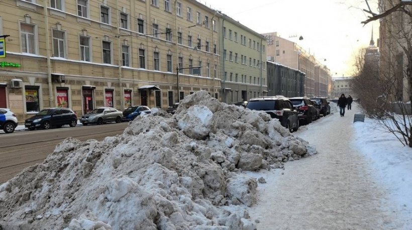 Эксперт Федорук назвал плохую уборку снега в Петербурге «региональной» проблемой