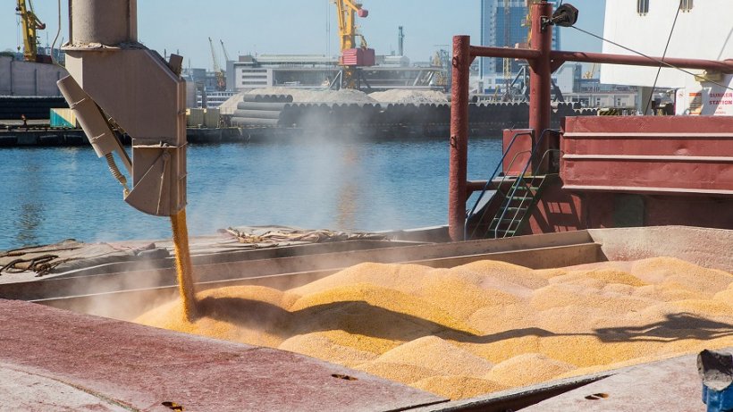 Россия продлит зерновую сделку сроком на два месяца