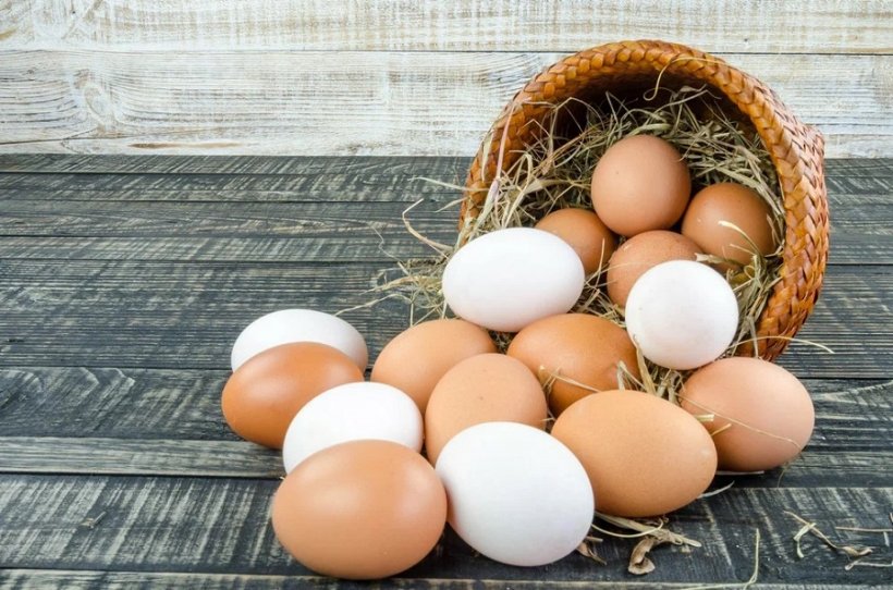 ФАС вынесла предложение ограничить наценку на яйца до 5%