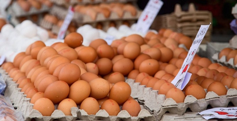 Из-за роста цен и ажиотажа власти ограничили продажу яиц 