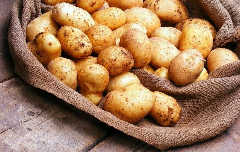 Россия прекращает импорт недружественных картошки и семян. Крым частично по ...