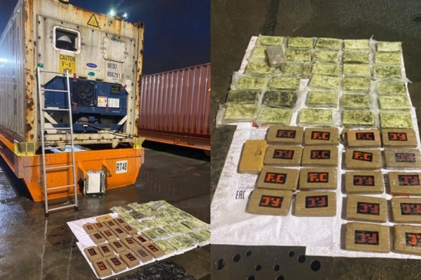 В Петербург из Бельгии вместо бананов в контейнерах привезли 100 кг кокаина