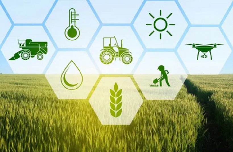 Роль технологий контроля окружающей среды в повышении урожайности
