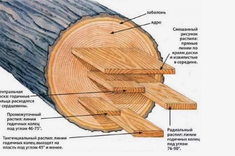 Доски обрезные из ясеня, осины, сосны: особенности и применение