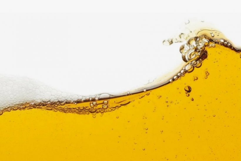 Австралийские ученые рассказали о пользе алкоголя: пиво улучшает здоровье пожилых людей