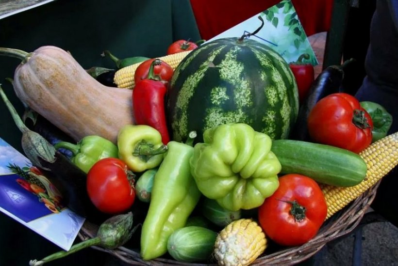 Россельхознадзор выявил пятикратное превышение нормы пестицидов во фруктах и овощах из Армении