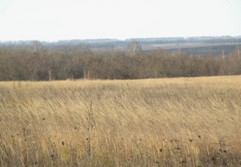 Начали конфисковать земельные участки украинцев в Курской, Брянской и Белгородской областях