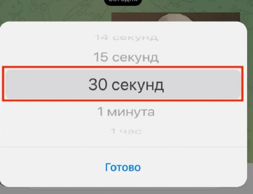 Директор по кибербезопасности отправил нюдсы своей жены мошенникам, перевел им 1,5 млн и напрасно надеялся, что фото не пойдут по Сети