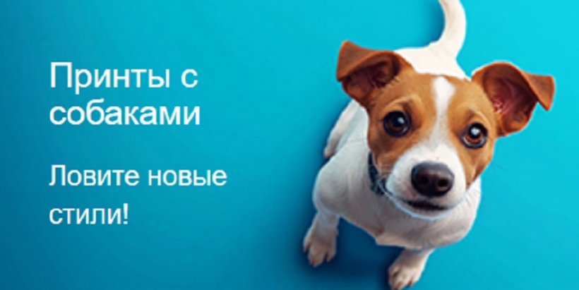 Детская одежда с принтами: магия самовыражения в каждом стежке