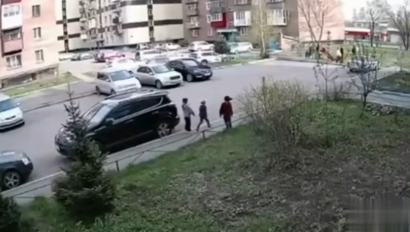 В Новокузнецке кони сбежали с места выпаса и травмировали семилетнюю девочку во дворе многоэтажки