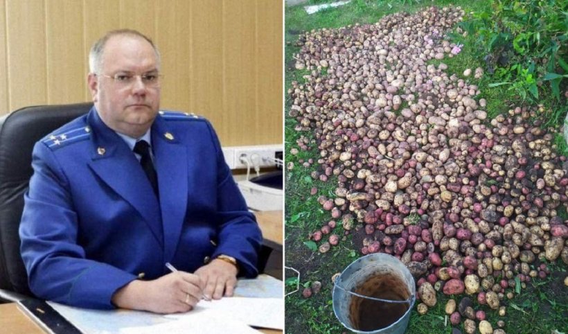 Страсть к картошке довела российского экс-прокурора Колдаева до суда: за взятку в виде 1250 кг ему назначили 4 года