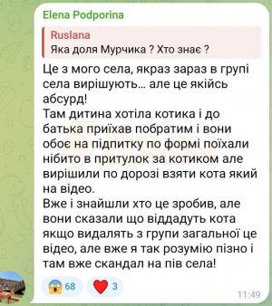 Пьяные солдаты ВСУ украли кота у женщины и подарили животное ребенку одному из них Пьяные солдаты ВСУ украли кота у женщины и подарили животное ребенку одному из них