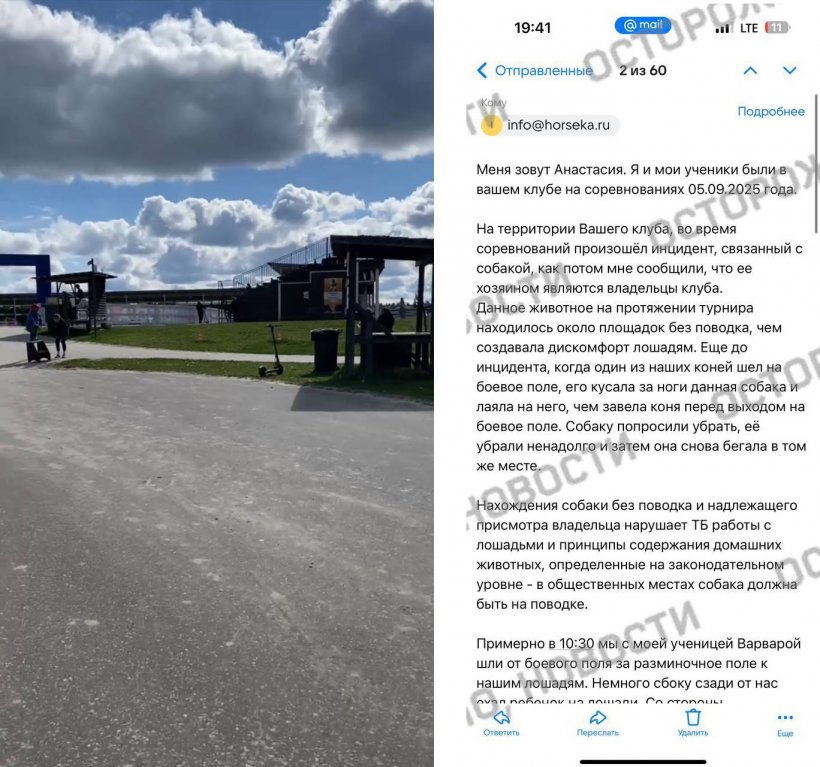 В подмосковном конном клубе Horseka конь сломал нос тренеру и ударил ребенка