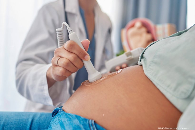 Частная клиника в Нижегородской области оштрафована за аборты