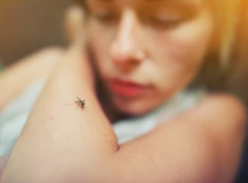 На пляжах Кубы туристов атакуют песчаные москиты: как защититься от назойливых насекомых