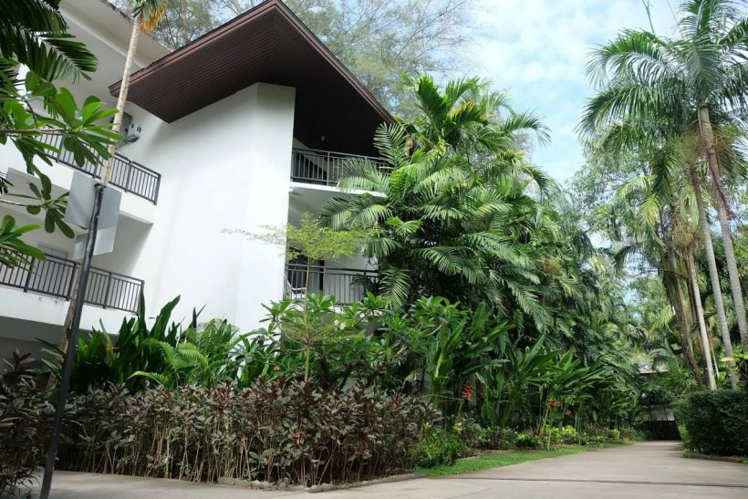 Королевская кобра проникла в отель на Пхукете. Теперь туристы боятся выходить из номеров 