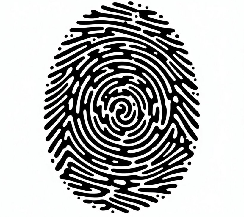 Микрофинансовые организации массово меняют статус в попытках обойти закон о биометрии