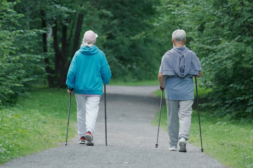 Петербуржцы оказались в ловушке: Никольский сад внезапно закрыли на просушку с людьми внутри