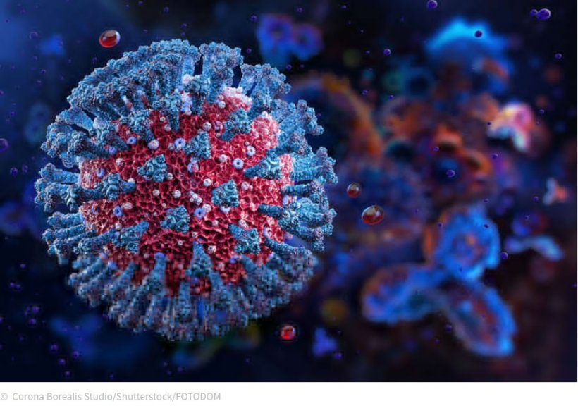 Коронавирус находит новые пути проникновения в клетки: ученые выявили неожиданный механизм заражения