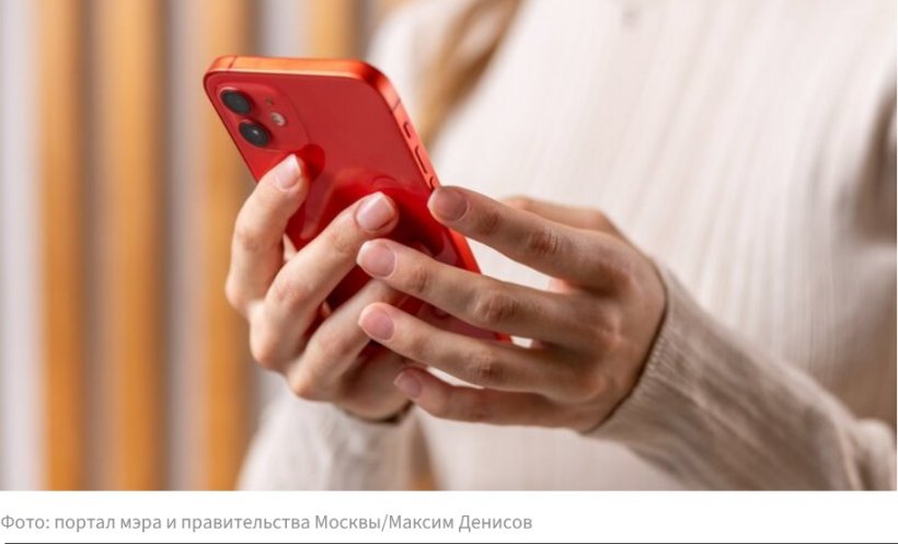 Штрафы за фото в купальниках: россиян предложили наказывать за откровенные аватарки в соцсетях
